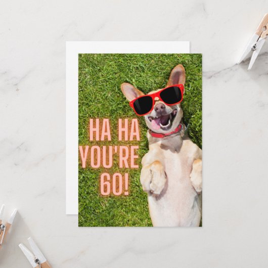 Laughing Dog 60th Birthday Briefkaart (Voorkant / Achterkant in situ)