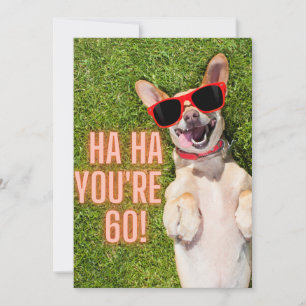 Laughing Dog 60th Birthday Briefkaart