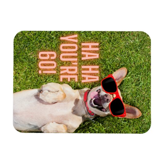 Laughing Dog 60th Birthday Magneet (Horizontaal)