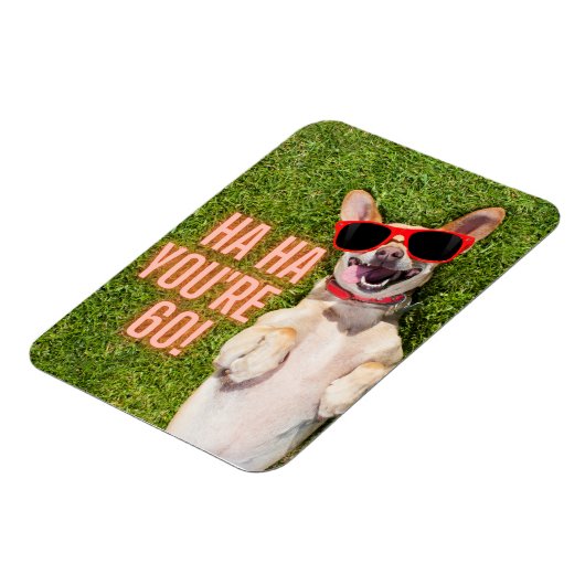Laughing Dog 60th Birthday Magneet (Linkerzijde)