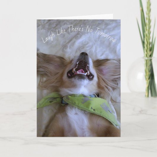 Laughing Dog Greeting Card Kaart (Voorkant)