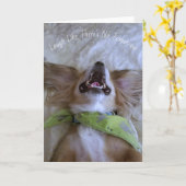 Laughing Dog Greeting Card Kaart (Gele Bloem)