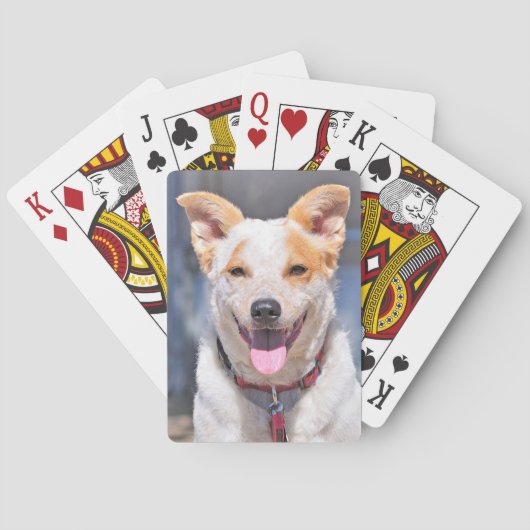Laughing Dog-speelkaarten Pokerkaarten (Achterkant)