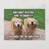 Laughing Golden Retriever Funny Shellfish Joke Briefkaart (Voorkant)