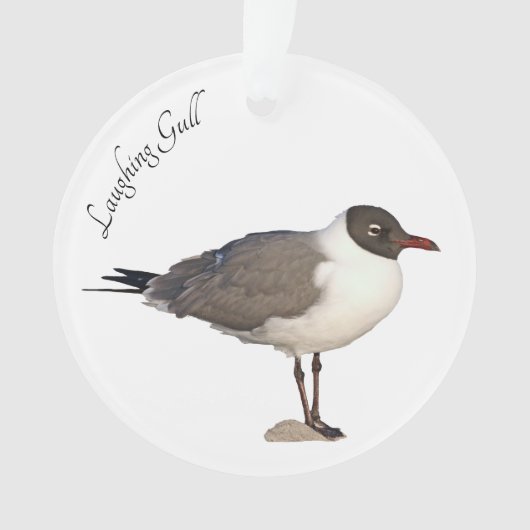 Laughing Gull Ornament (voorkant)