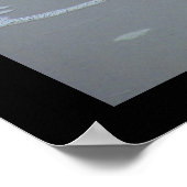 LAUGHING GULL POST POSTER (Hoek)