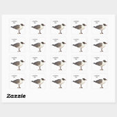 Laughing Gull Vierkante Sticker (Vel)