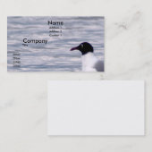 Laughing Gull Visitekaartje (Voorkant / Achterkant)