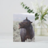 Laughing Horse Briefkaart (Staand voorkant)
