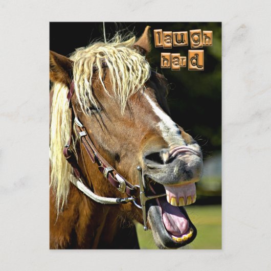 Laughing Horse Post Card Briefkaart (Voorkant)