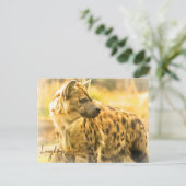 Laughing Hyena ポストカード Briefkaart (Staand voorkant)