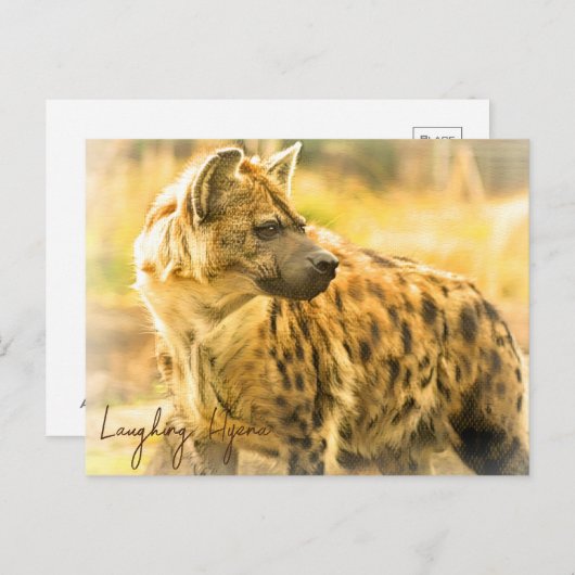 Laughing Hyena ポストカード Briefkaart (Voorkant / Achterkant)