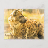 Laughing Hyena ポストカード Briefkaart (Voorkant)