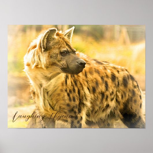 Laughing Hyena ポ ス タ ー Poster (Voorkant)