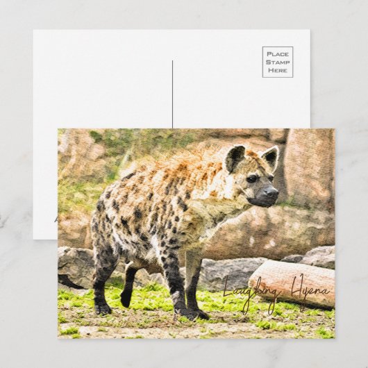 Laughing Hyena Briefkaart (Voorkant / Achterkant)