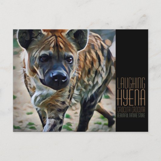 Laughing hyena [Briefkaart] Briefkaart (Voorkant)