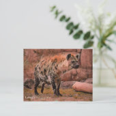 Laughing Hyena:Briefkaart Briefkaart (Staand voorkant)
