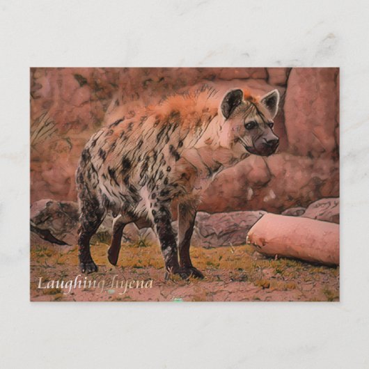 Laughing Hyena:Briefkaart Briefkaart (Voorkant)