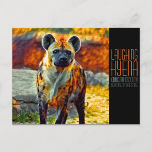 Laughing hyena [Briefkaart] Briefkaart