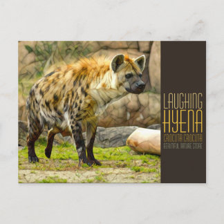 Laughing hyena [Postcard] Briefkaart