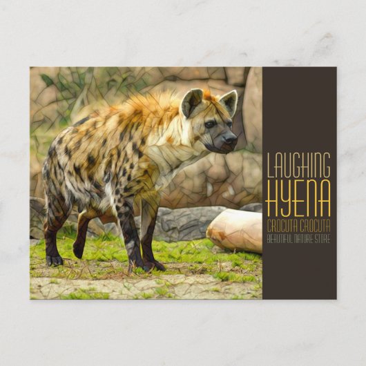 Laughing hyena [Postcard] Briefkaart (Voorkant)