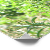 Laughing Hyena Poster (Hoek)