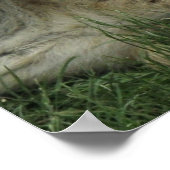 Laughing Hyenas Poster (Hoek)