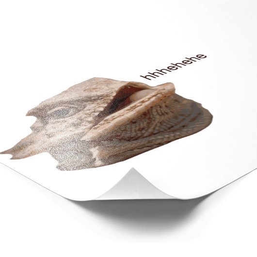 Laughing Iguana HeHe Lizard Foto Afdruk (Hoek)