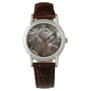 Laughing Iguana Photo Horloge