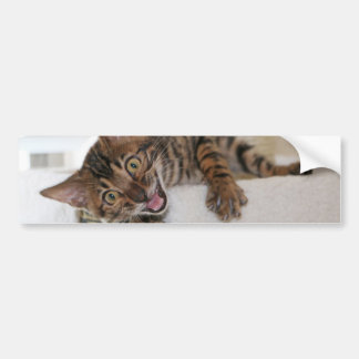 LAUGHING KITTEN BUMPERSTICKER