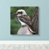 Laughing Kookaburra Australia Bird Canvas Afdruk (Insitu (Houten vloer))