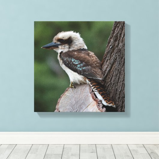 Laughing Kookaburra Australia Bird Canvas Afdruk (Insitu (Houten vloer))