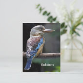Laughing Kookaburra Bird Briefkaart (Staand voorkant)