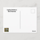 Laughing Kookaburra Bird Briefkaart (Achterkant)