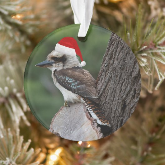 Laughing Kookaburra Bird Kerstrode kerstkerstkerst Ornament (Boom)