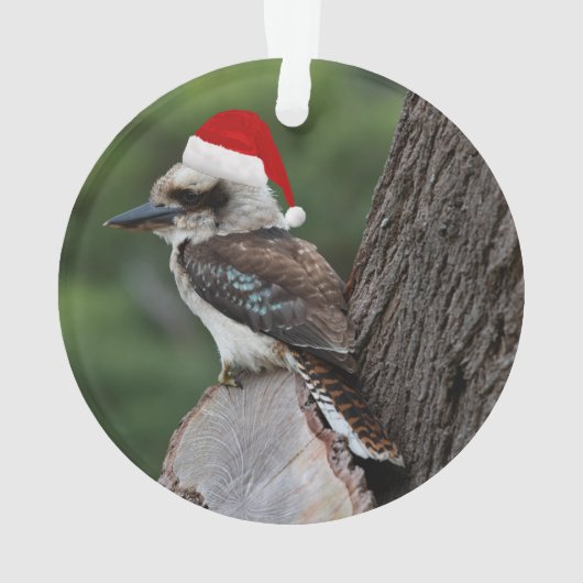 Laughing Kookaburra Bird Kerstrode kerstkerstkerst Ornament (achterkant)