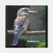 Laughing Kookaburra Bird Magneet (Voorkant)