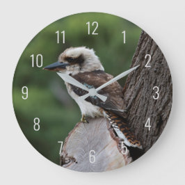 Laughing Kookaburra Bird Tree Grote Klok