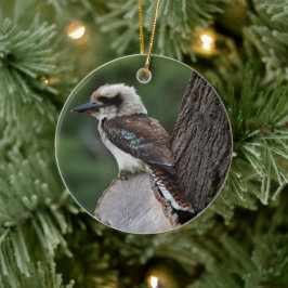 Laughing Kookaburra Bird Tree Keramisch Ornament