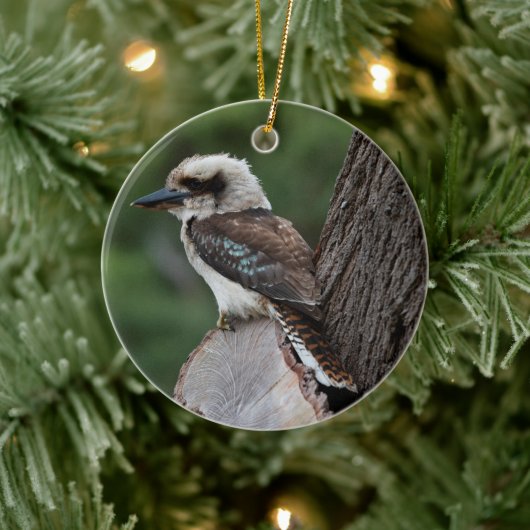 Laughing Kookaburra Bird Tree Keramisch Ornament (Boom)