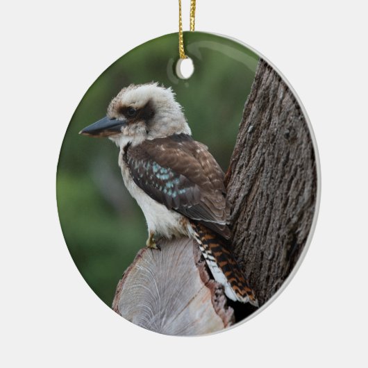 Laughing Kookaburra Bird Tree Keramisch Ornament (Links)