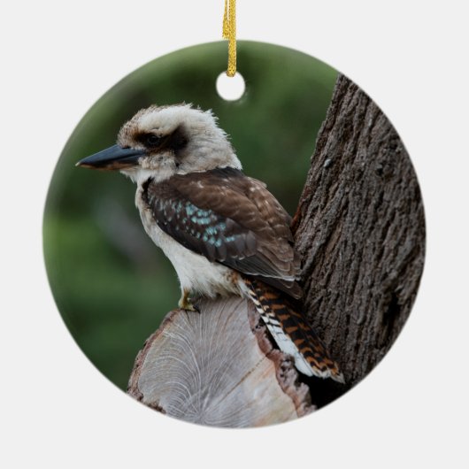 Laughing Kookaburra Bird Tree Keramisch Ornament (Achterkant)