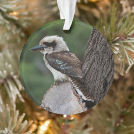 Laughing Kookaburra Bird Tree Ornament