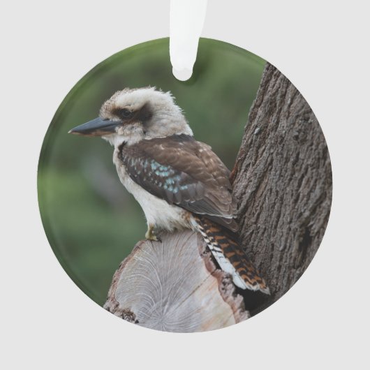 Laughing Kookaburra Bird Tree Ornament (voorkant)