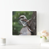 Laughing Kookaburra Bird Tree Vierkante Klok (Huis)