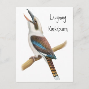 Laughing Kookaburra Briefkaart