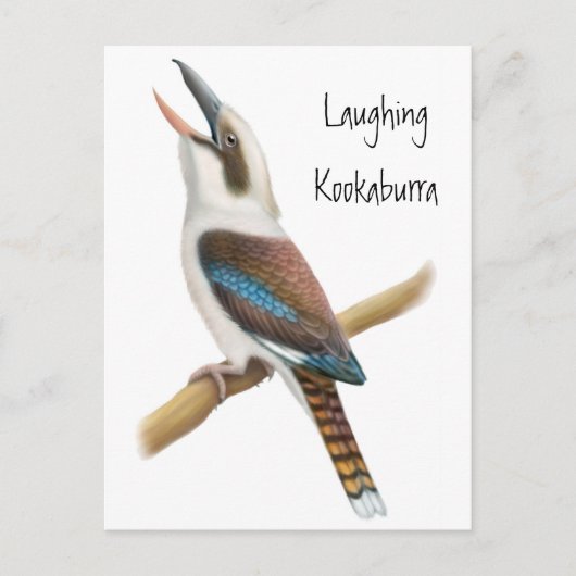 Laughing Kookaburra Briefkaart (Voorkant)
