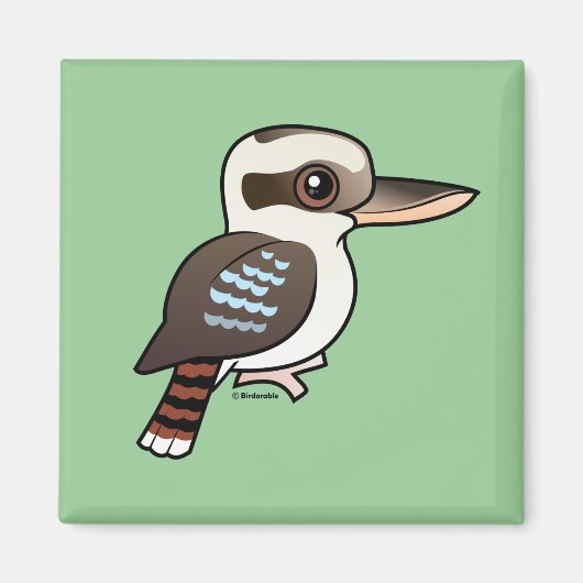 Laughing Kookaburra Magneet (Voorkant)