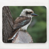 Laughing Kookaburra Muismat (Voorkant)