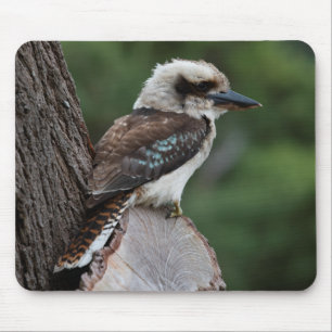 Laughing Kookaburra Muismat